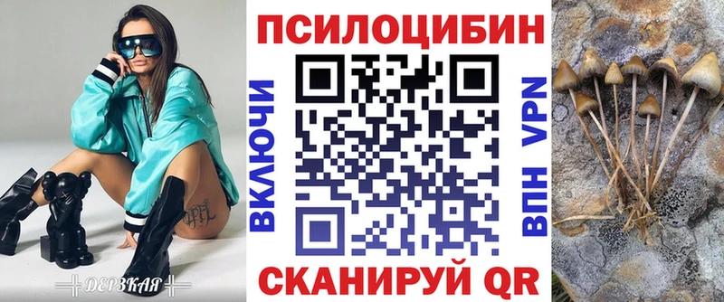 Псилоцибиновые грибы Psilocybine cubensis  Петушки 